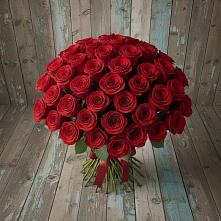 Букет 55 Красных роз Фридом #REPLACE_PRED# Каменецкий