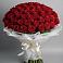 Букет 101 Красная роза Блэк Мэджик в Каменецкий