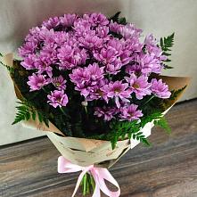 Букет цветов из:  Хризантемы #REPLACE_PRED# Каменецкий