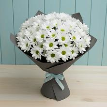 Букет цветов из:  Хризантемы в Каменецкий