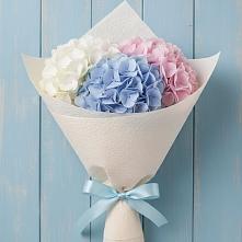 Букет цветов из:  Гортензия в Каменецкий