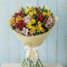 Букет цветов из:  Альстромерии #REPLACE_PRED# Каменецкий