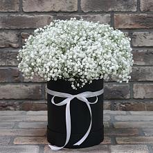 Цветочная композиция из Гипсофила в шляпной коробке в Каменецкий