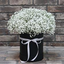 Цветочная композиция из Гипсофила в шляпной коробке в Каменецкий