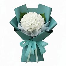 Букет цветов из:  Гортензия #REPLACE_PRED# Каменецкий